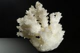 Sparkling Cave Calcite (Aragonite) Formation - Potosi Mine, Mexico #340947-1